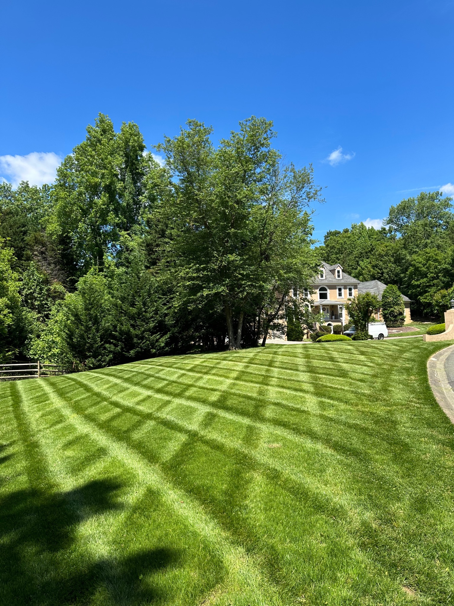 Commercial lawn care