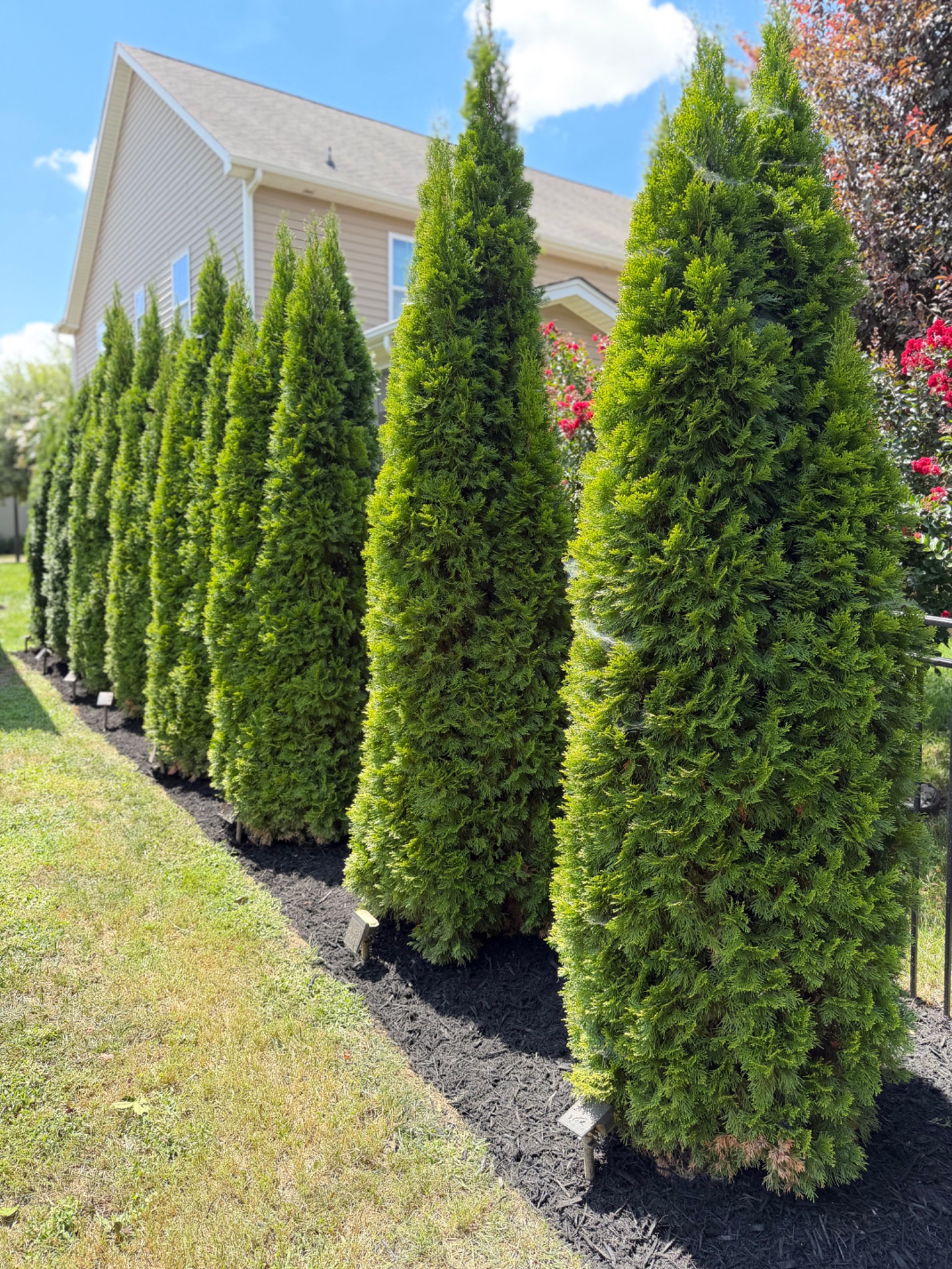 Property Enhancements project