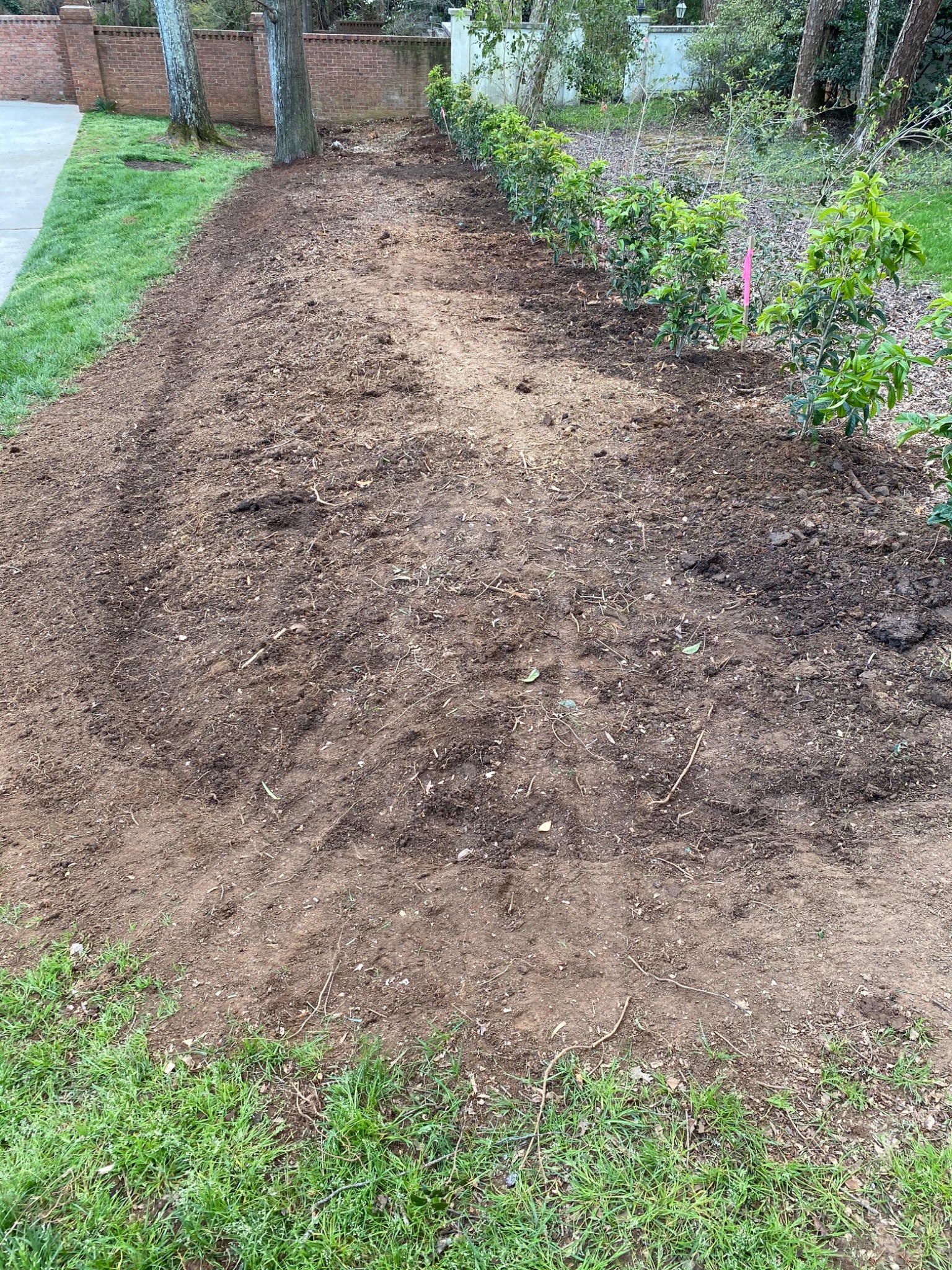 Seasonal Cleanup / Property Preparation project